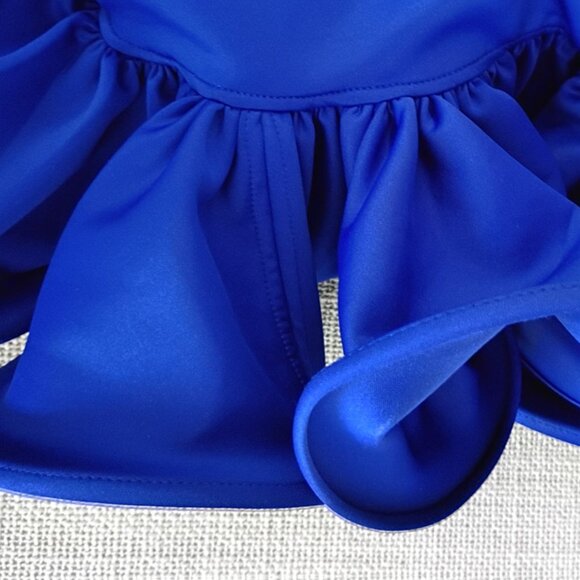 CQ by CQ Royal Blue Structured One shoulder Ruffled Midi Dress | Size S - Picture 8 of 9